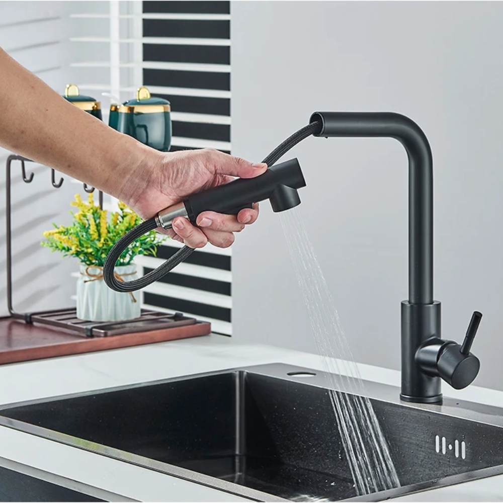 Kitchen pull-out faucet 304 st - Commercial Kitchen Faucets review and price